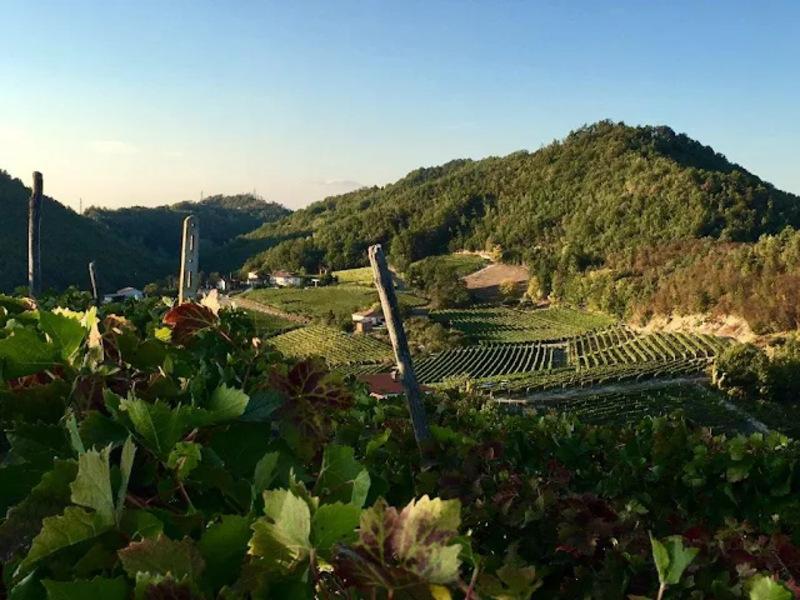 Piemonte Property for Sale