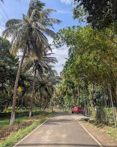 best resorts in tamilnadu, best resorts in coimbatore for team outing, couple friendly resorts in coimbatore, best palakkad resorts, resort near palakkad with swimming pool