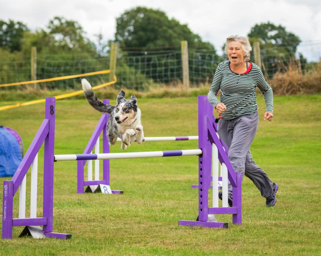 VO2 max testing, diastasis recti therapy, shoulder bursitis treatment
