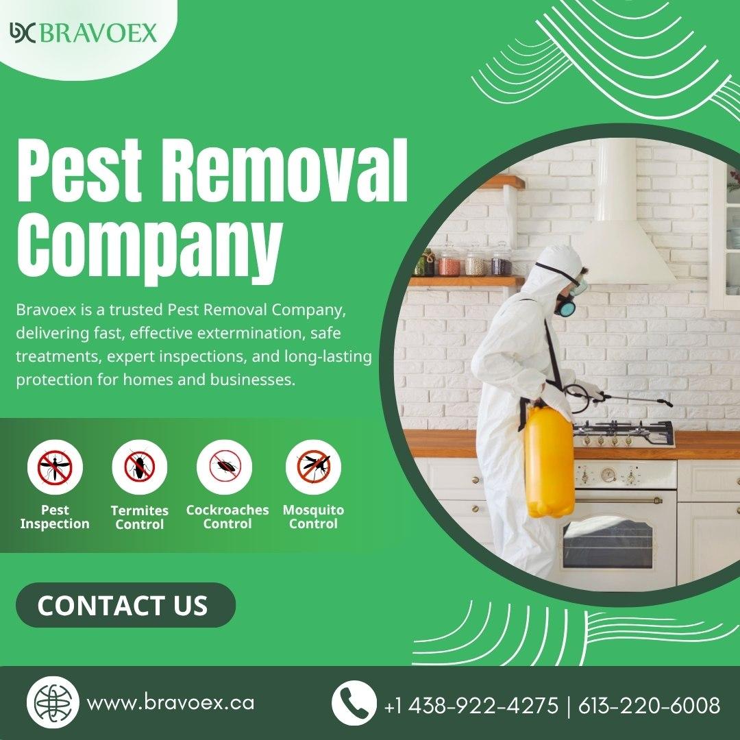 Pest Services in Ottawa