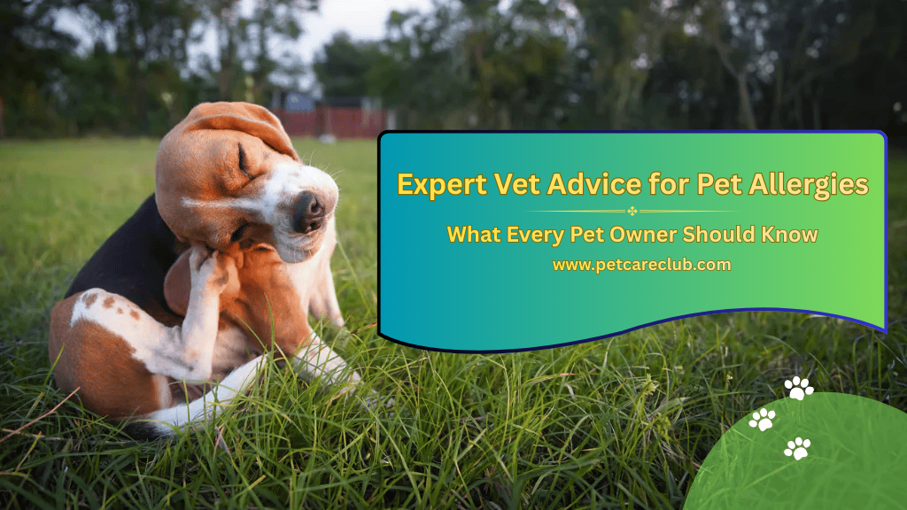 Expert Guide to Dog & Cat Allergies: Causes, Symptoms & Treatment
