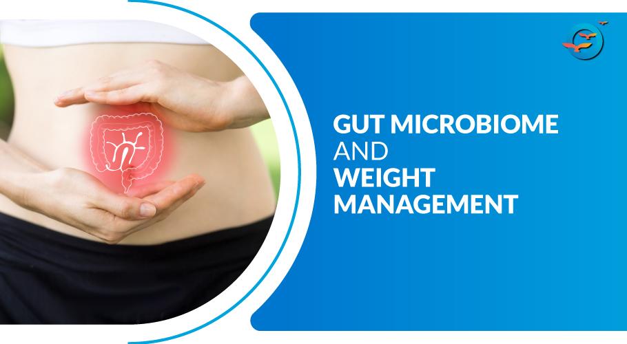 Gut microbiome and diabetes