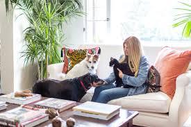 pets with owner