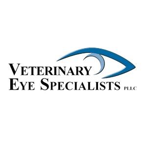 Cat Cataract Surgery