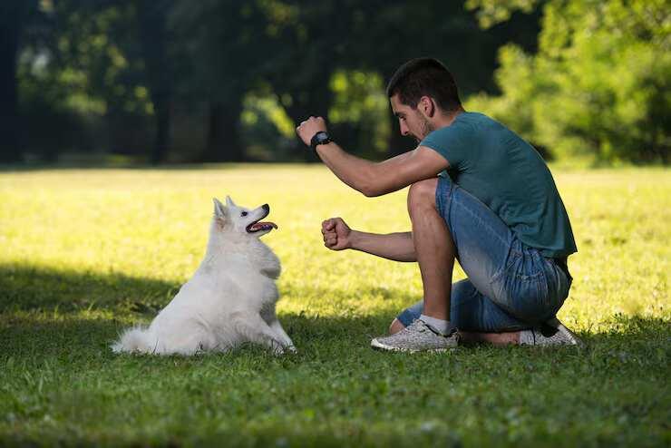 Dog Training in Ghaziabad