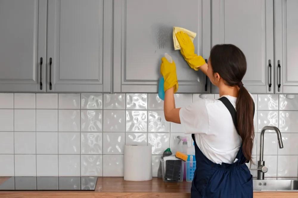Pest Control Services