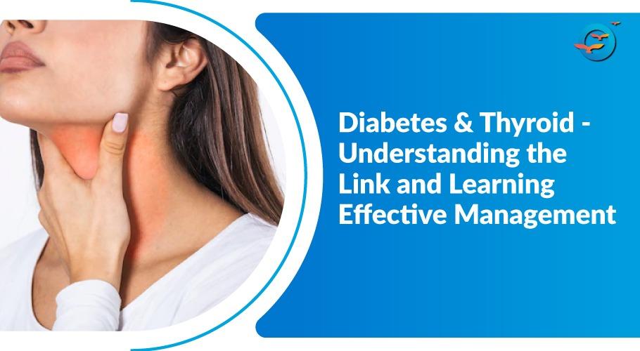 diabetes and thyroid connection