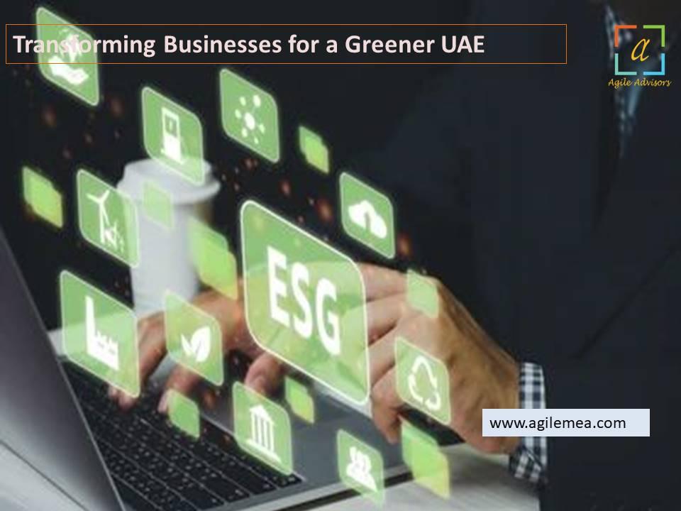 ESG consulting