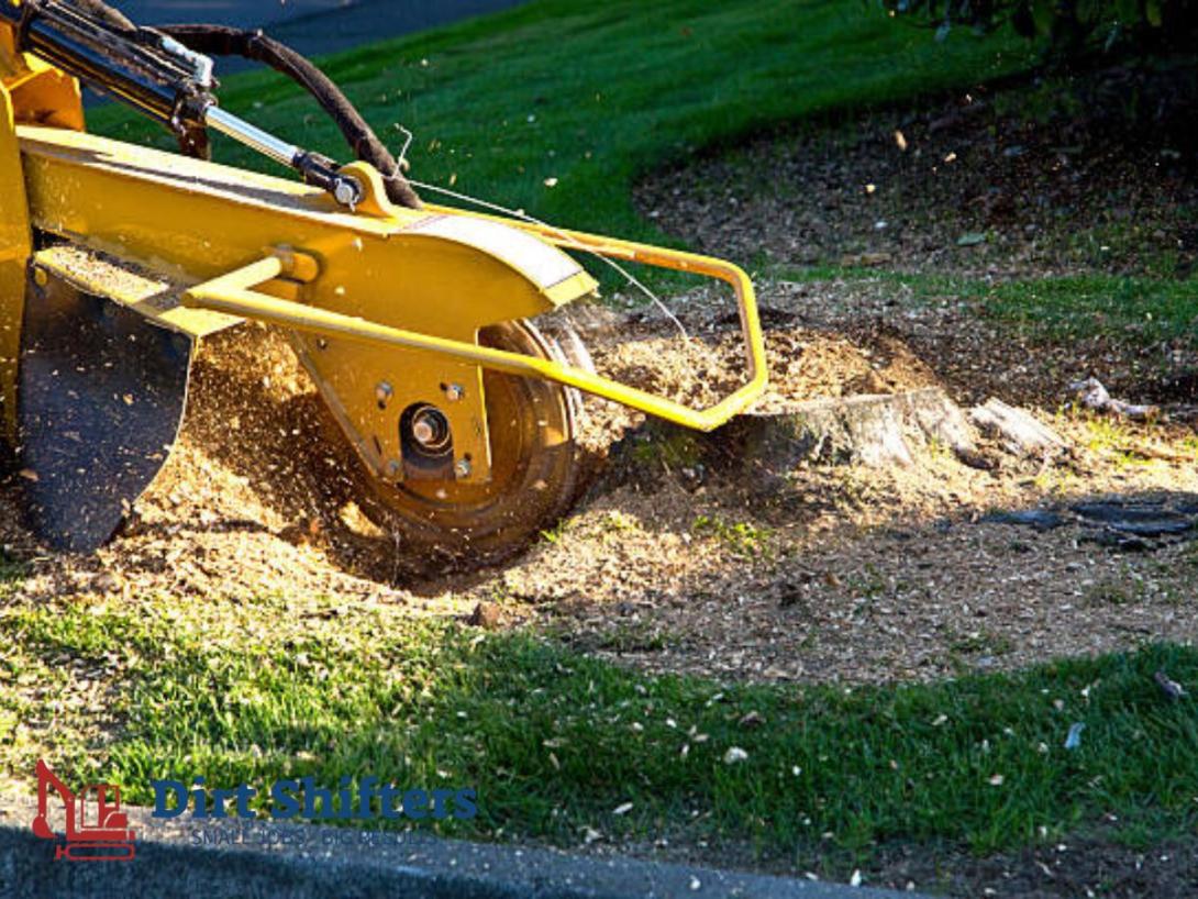 stump grinding near you