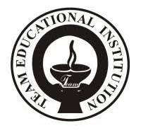 Team Educational Institute