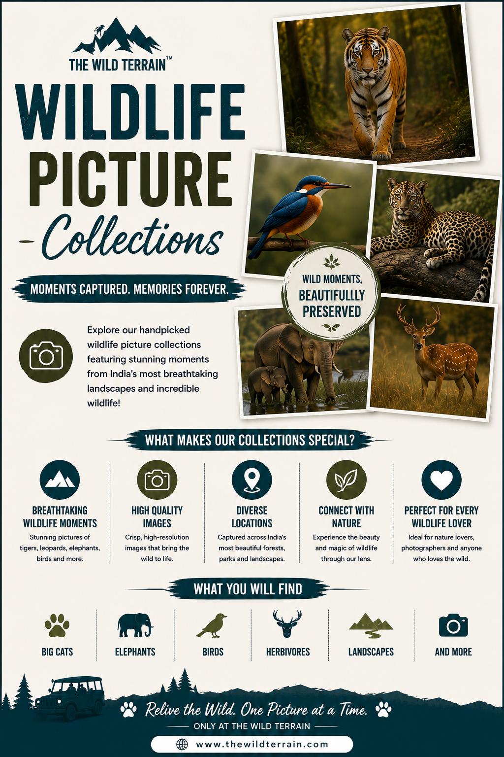 Wildlife Picture Collections