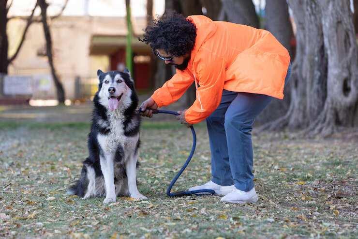 Dog Training Service in Bhubaneswar