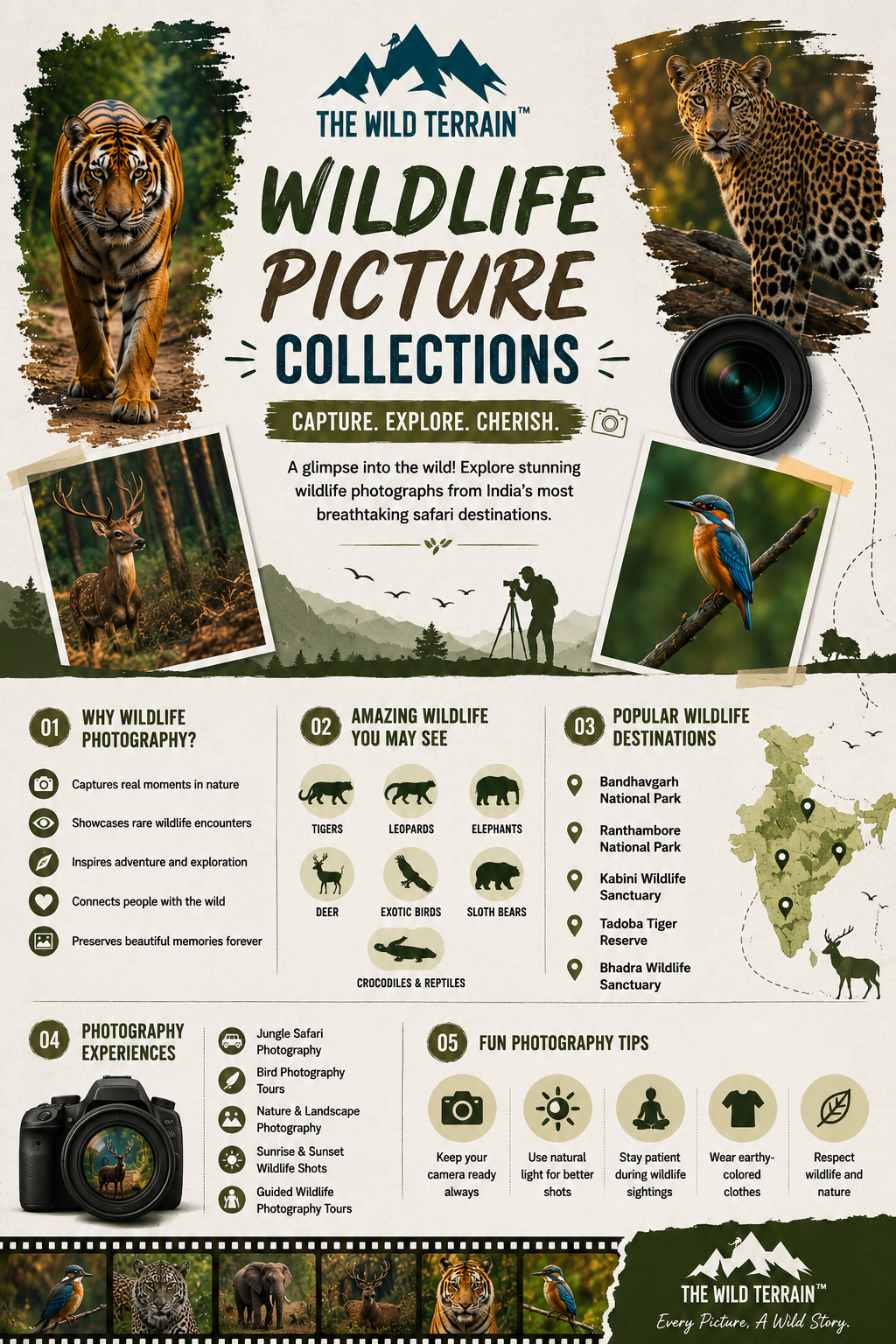 wildlife picture collections 