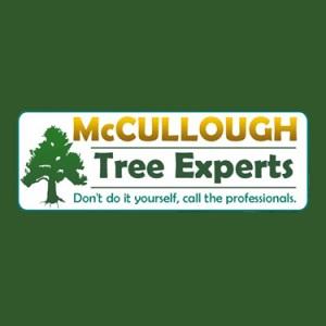 Tree Removal