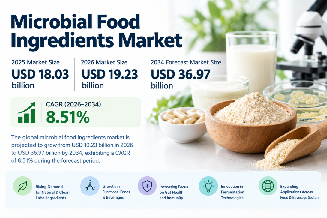 Microbial Food Ingredients Market Industry Size, Growth Rate and Forecast 2026–2034