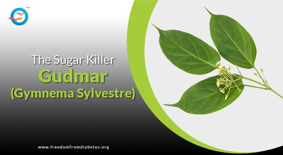 Gudmar for diabetes