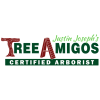Profile picture for user Tree Amigos Tree Service