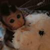 Profile picture for user fernandelranchk249742