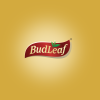 Profile picture for user BudLeaf