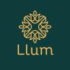 Profile picture for user llumdiffusers