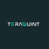 Profile picture for user TeraQuint