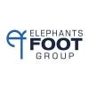 Profile picture for user elephantsfoot